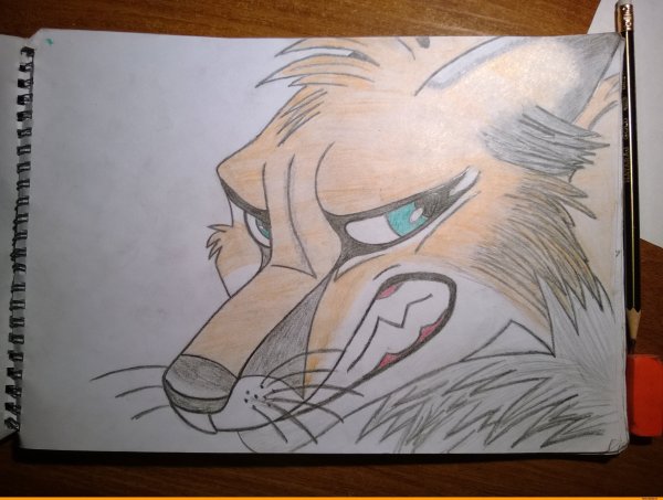 Фурри маркерами