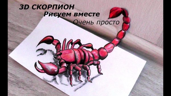 Скорпион рисунок цветной карандашом
