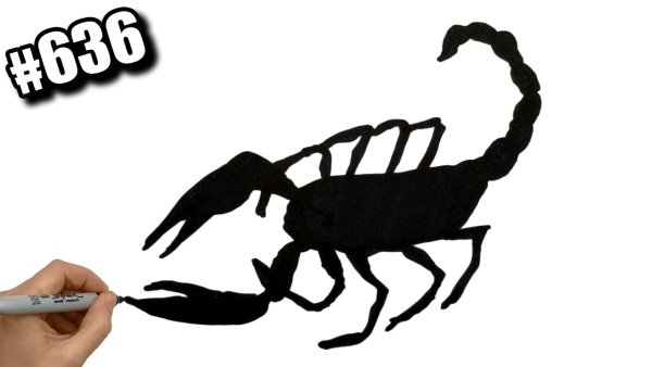 Скорпион фломастером