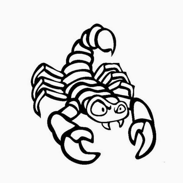 Скорпион картинка для детей