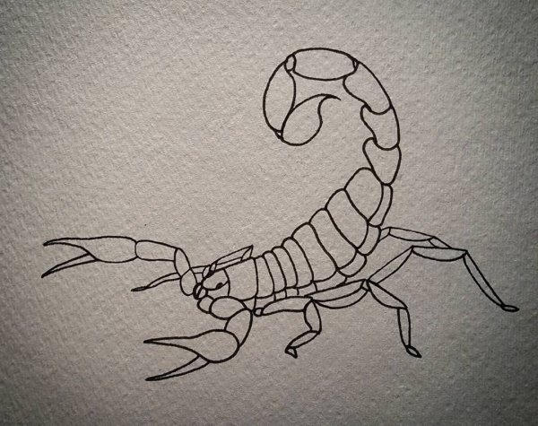 Контуры для выжигания скорпиона