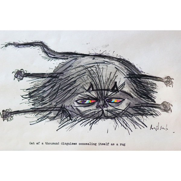 Коты маркерами