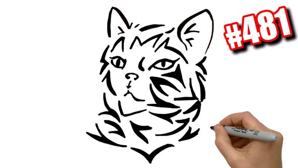 Черная кошка рисунок маркерами