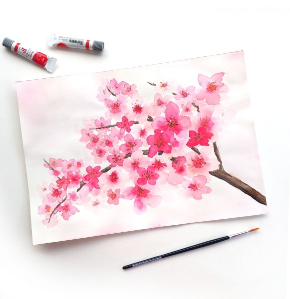 Монотипия Сакура