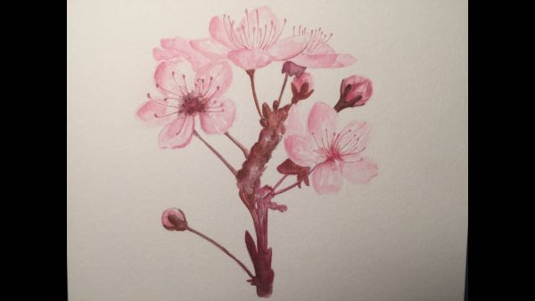 Веточка Сакуры маркерами