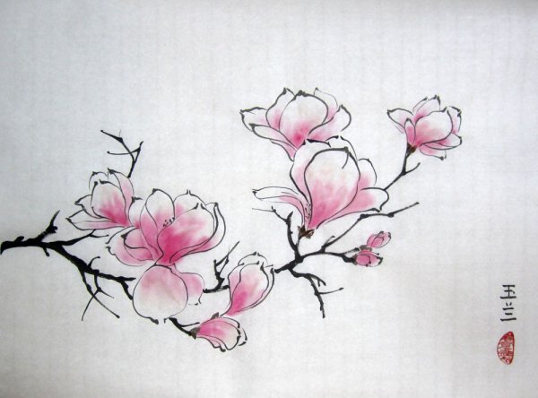 Японские цветы карандашом
