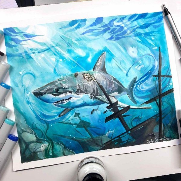 Акула маркерами