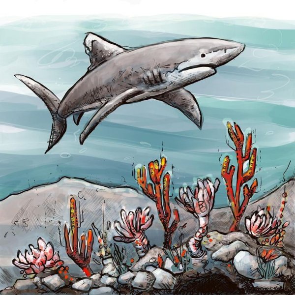 Морской акула иллюстрации