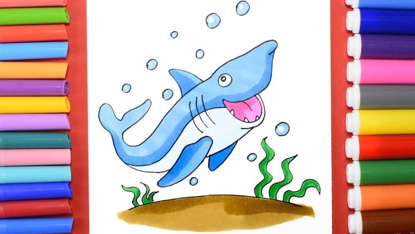 Нарисовать акулу маркерами