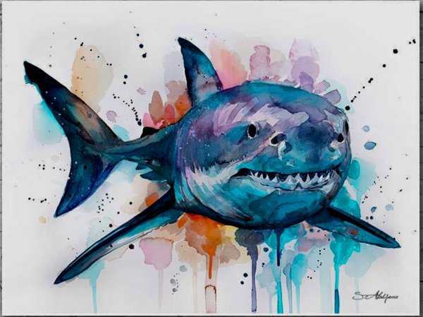 Акула арт