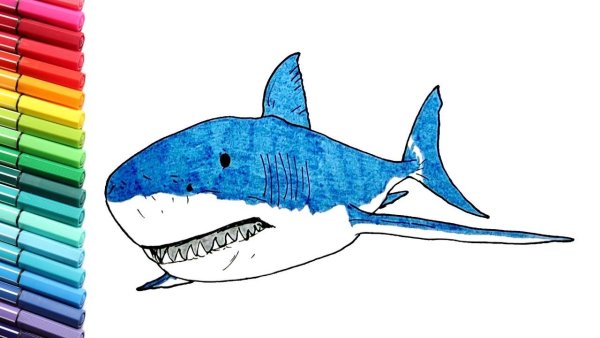 Акула рисование для детей