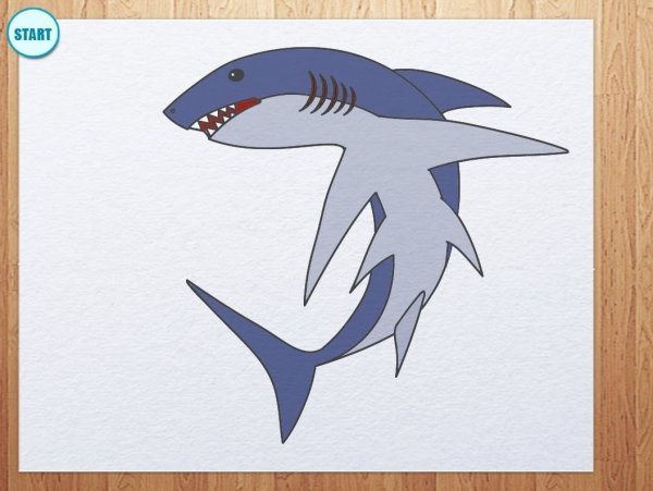 Акула фломастером