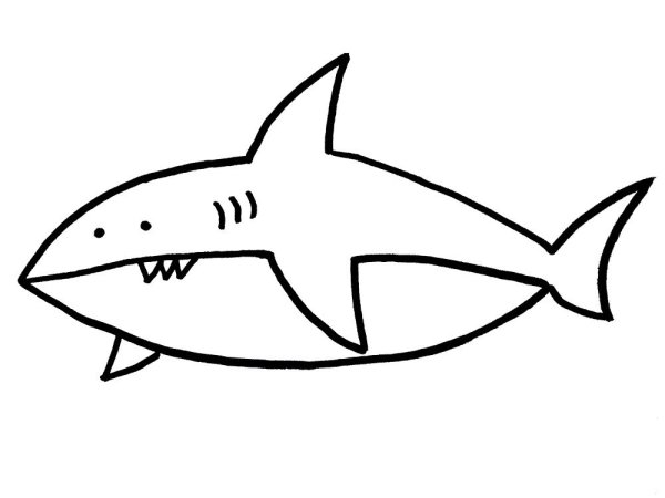 Акула для рисования детская