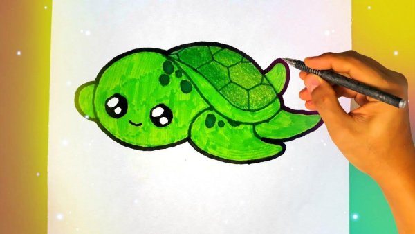 Рисунки для срисовки черепашка