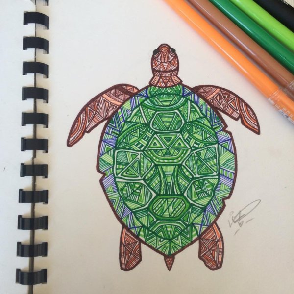 Черепаха цветными карандашами