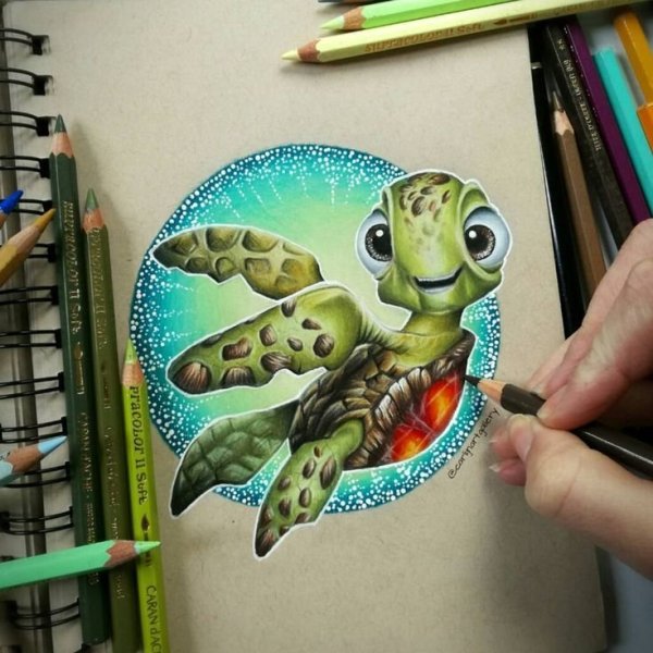 Рисование черепахи маркерами