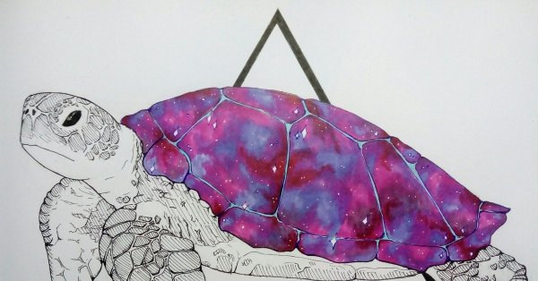 Черепаха маркерами