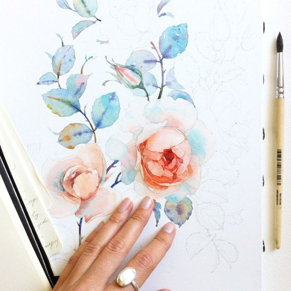 Скетчинг акварелью цветы для начинающих