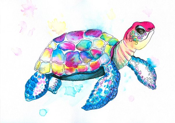 Черепашка акварелью