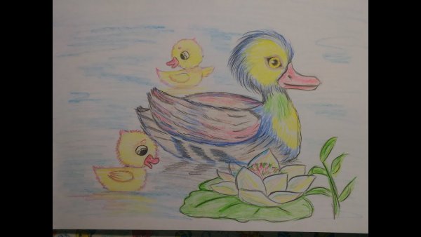Рисунок утки с утятами