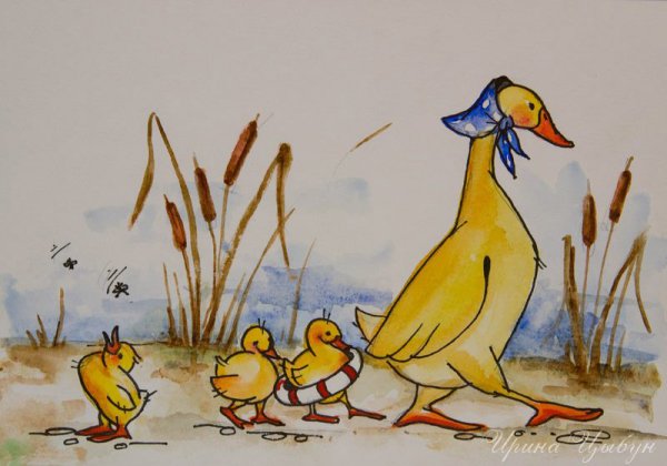 Иллюстрации с утками