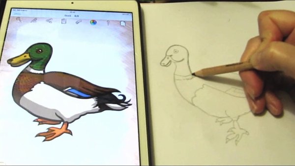 Нарисовать уточку из тик тока