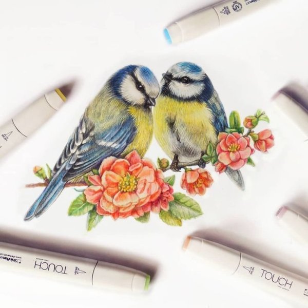 Рисунки птиц фломастерами