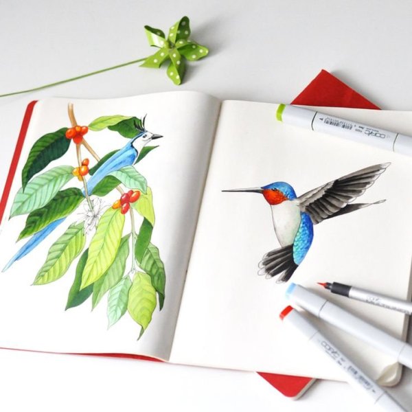 Скетчинг маркерами попугай