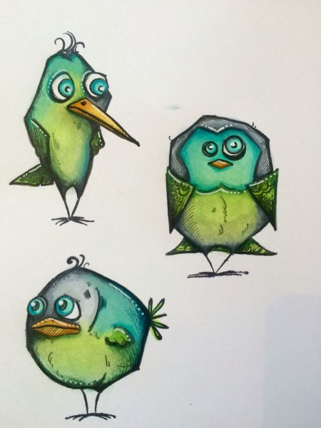 Зарисовки птиц фломастерами