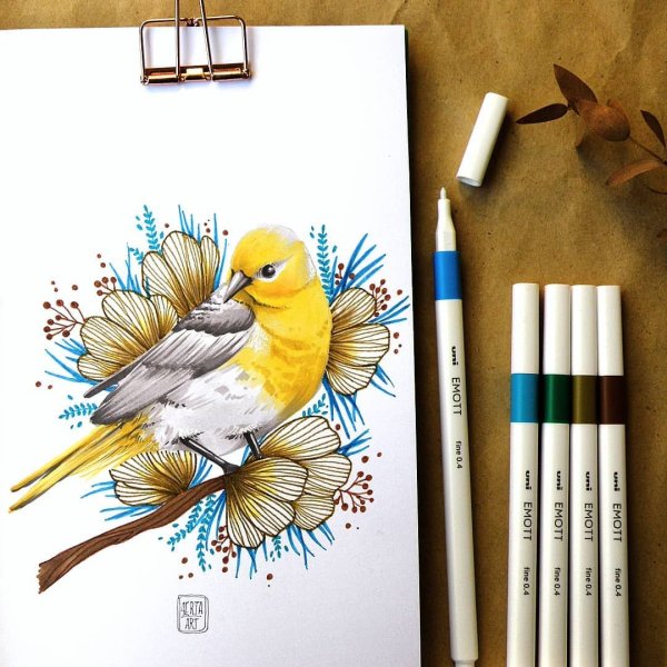 Птицы фломастерами