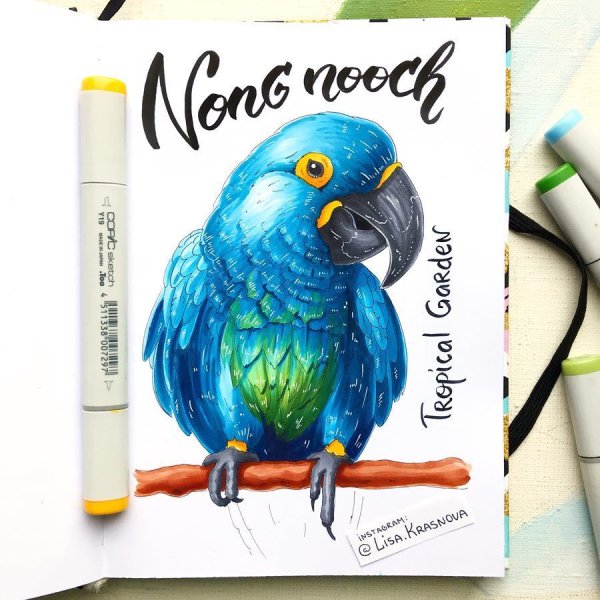 Птицы скетч маркерами