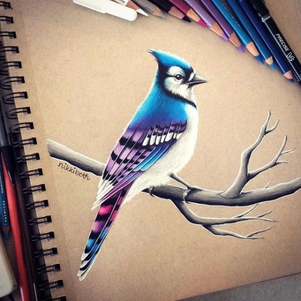 Попугай скетч маркерами