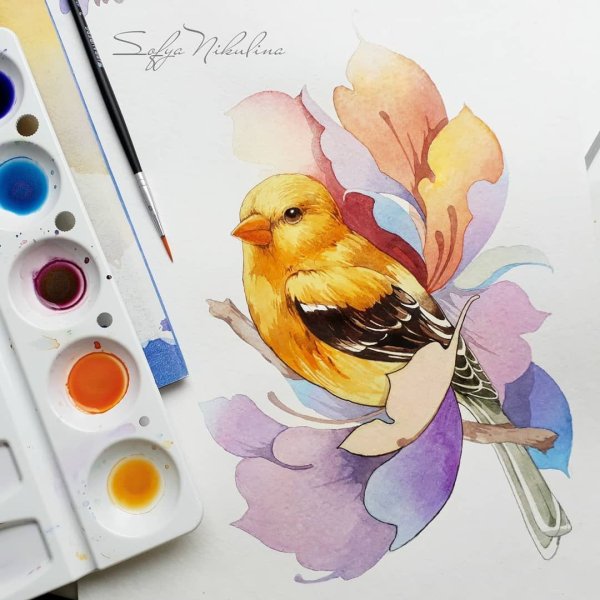 Рисунки маркерами птицы