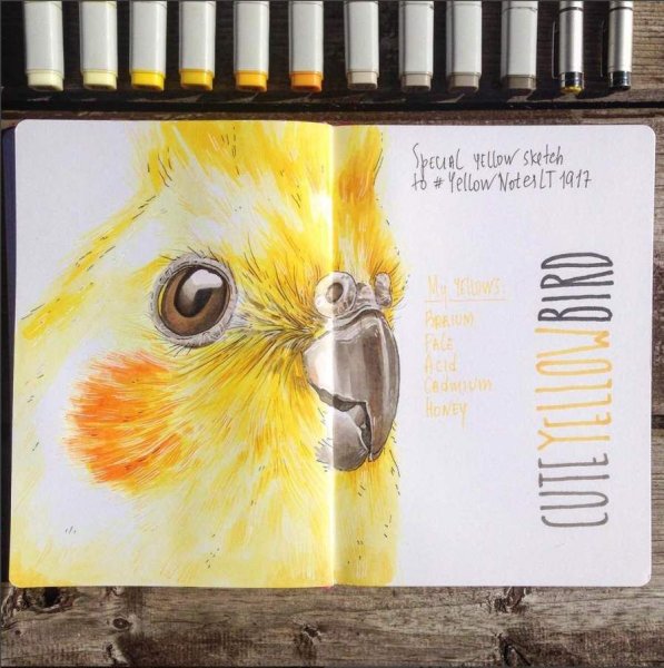 Лиза Краснова маркеры Копик