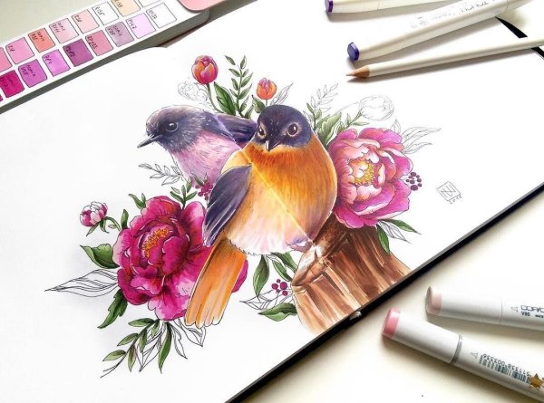 Птицы скетч маркерами