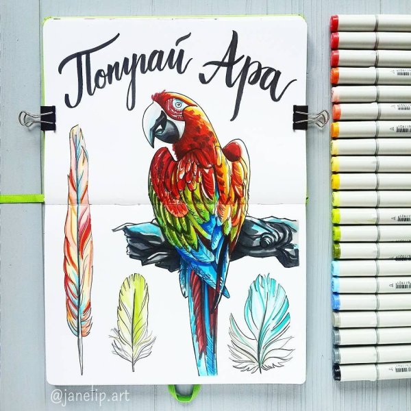 Скетч акварельными карандашами