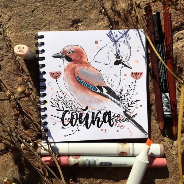 Птица маркерами