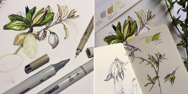 Растения листья фломастером