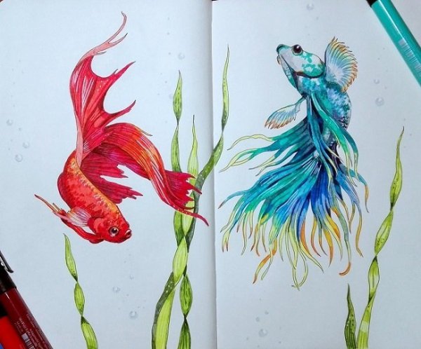 Рисунки маркерами рыбы