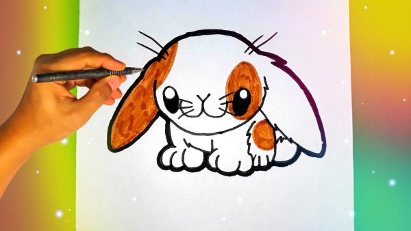 Зайчик фломастером