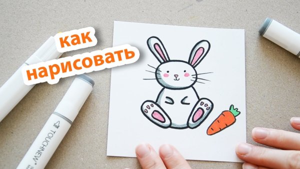 Заяц маркерами