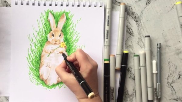 Зайка скетчинг