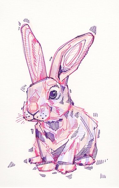 Кролик скетчинг