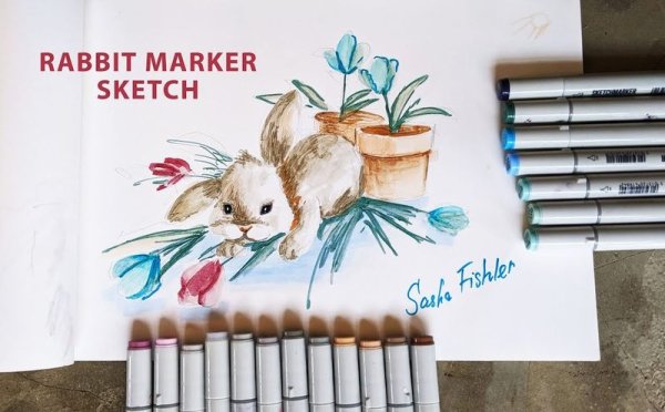 Заяц маркерами