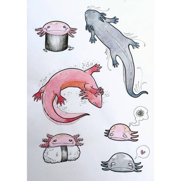 Аксолотль нарисовать маркерами