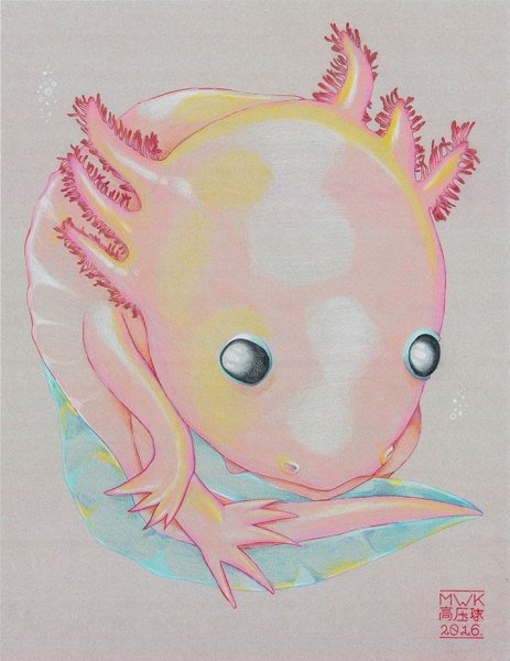 Аксолотль Kawai