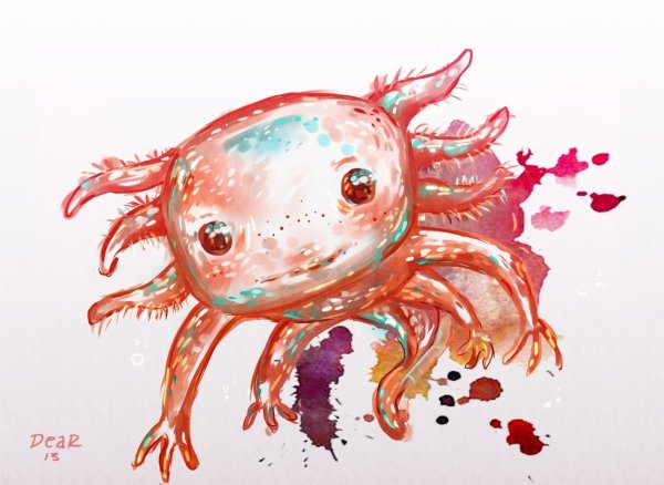 Аксолотль Радужный