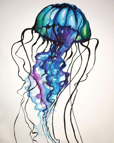 Медуза скетчбук