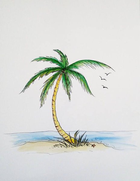 Пальма рисунок маркерами