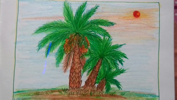 Рисование пальмы в детском саду